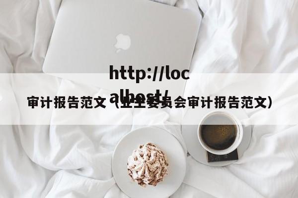 审计报告范文(业主委员会审计报告范文)